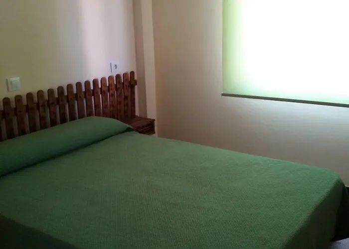 Palovi