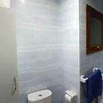 Palovi * デニア