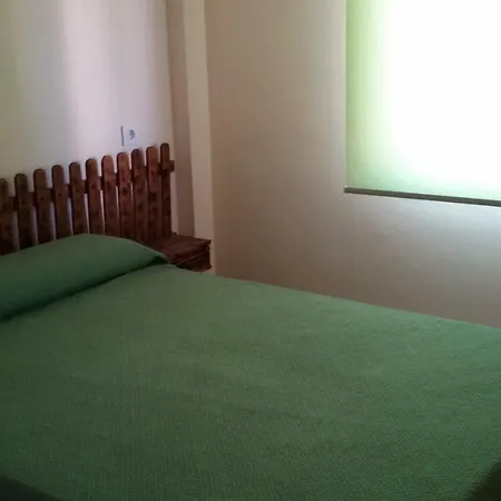 Palovi